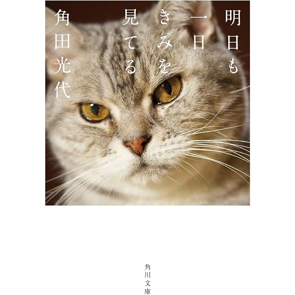 猫パンチをうけとめて (幻冬舎文庫 な 23-1) | 南里 秀子 |本 | 通販